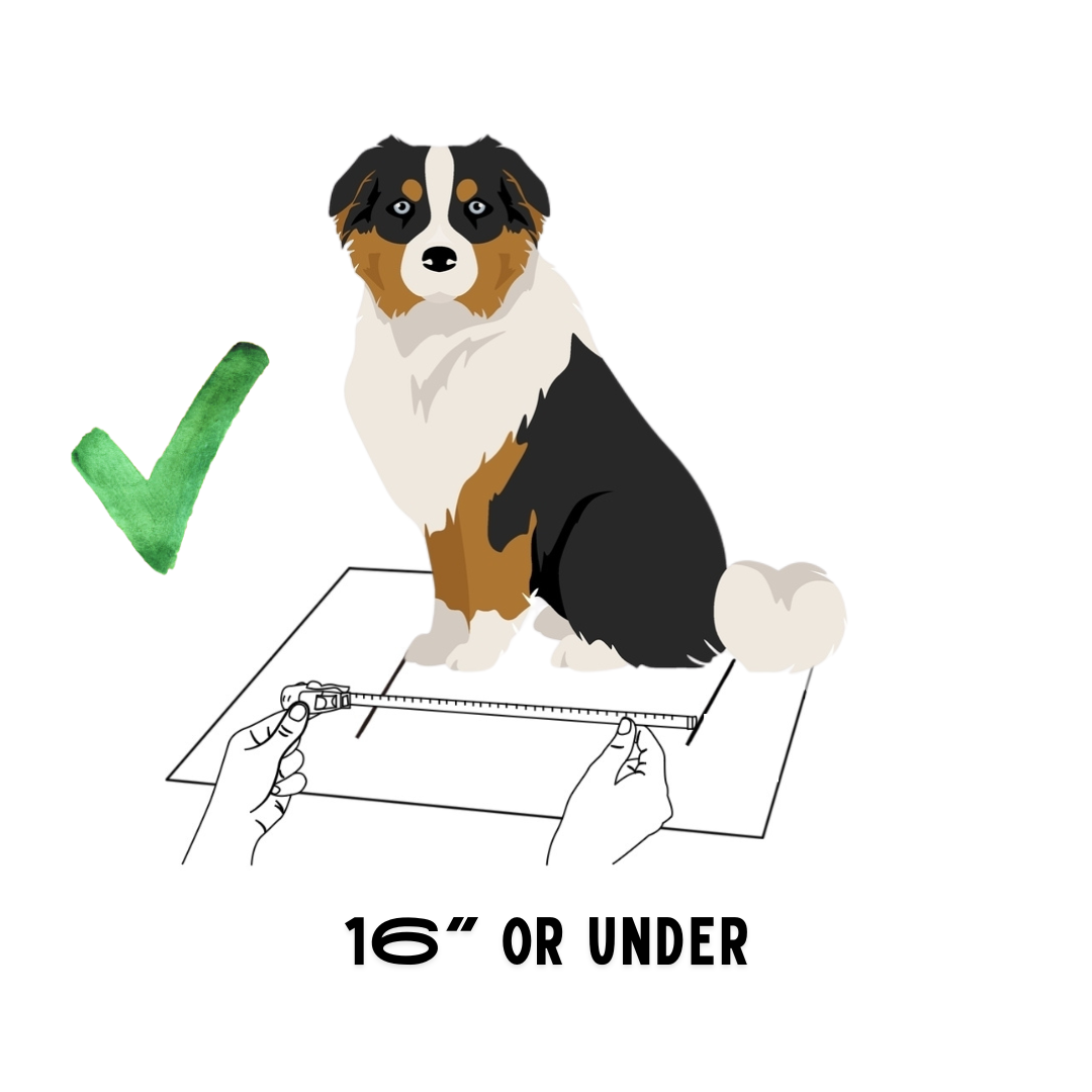 BuddyRider® Series 2 Bicycle Pet Seat