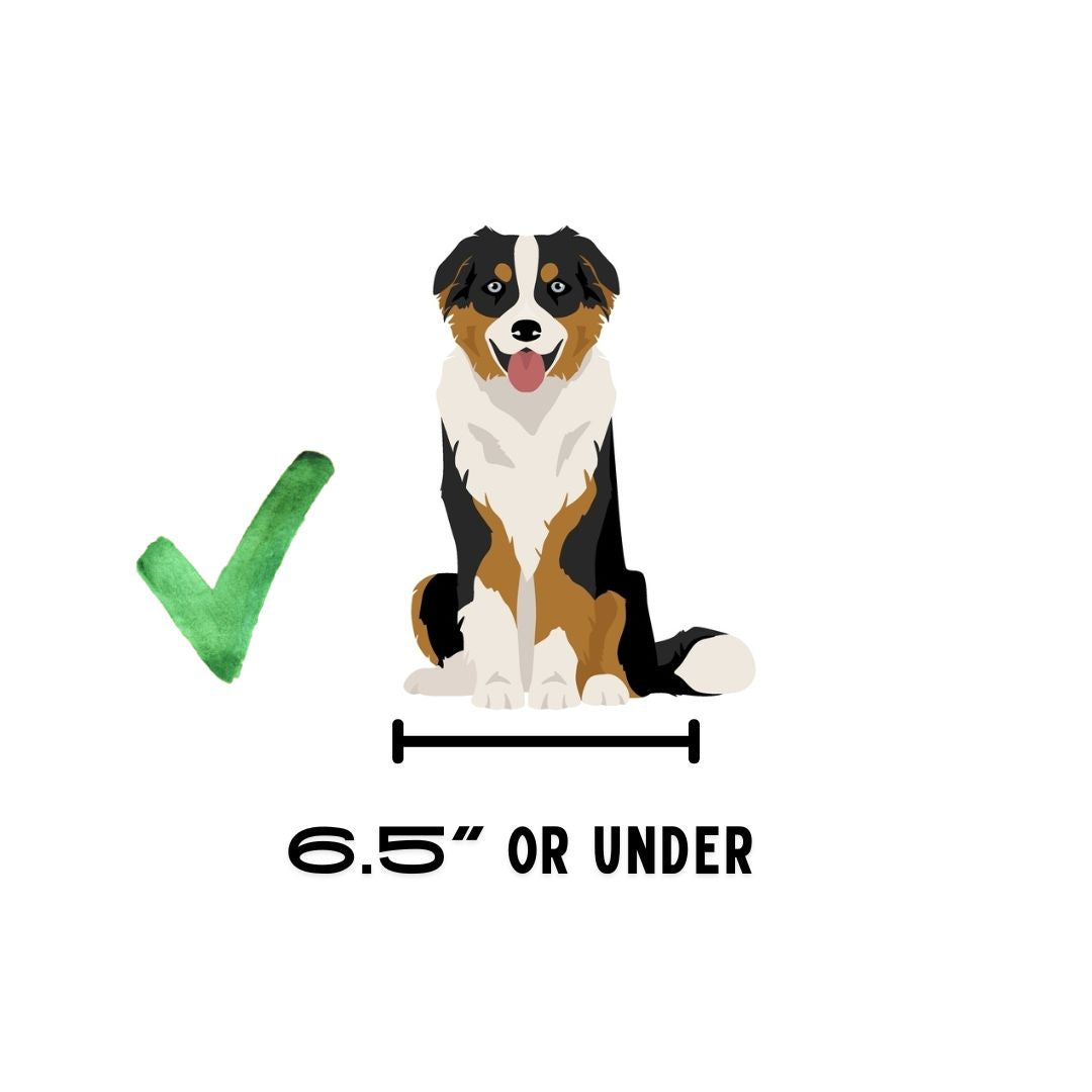 BuddyRider® Series 2 Bicycle Pet Seat