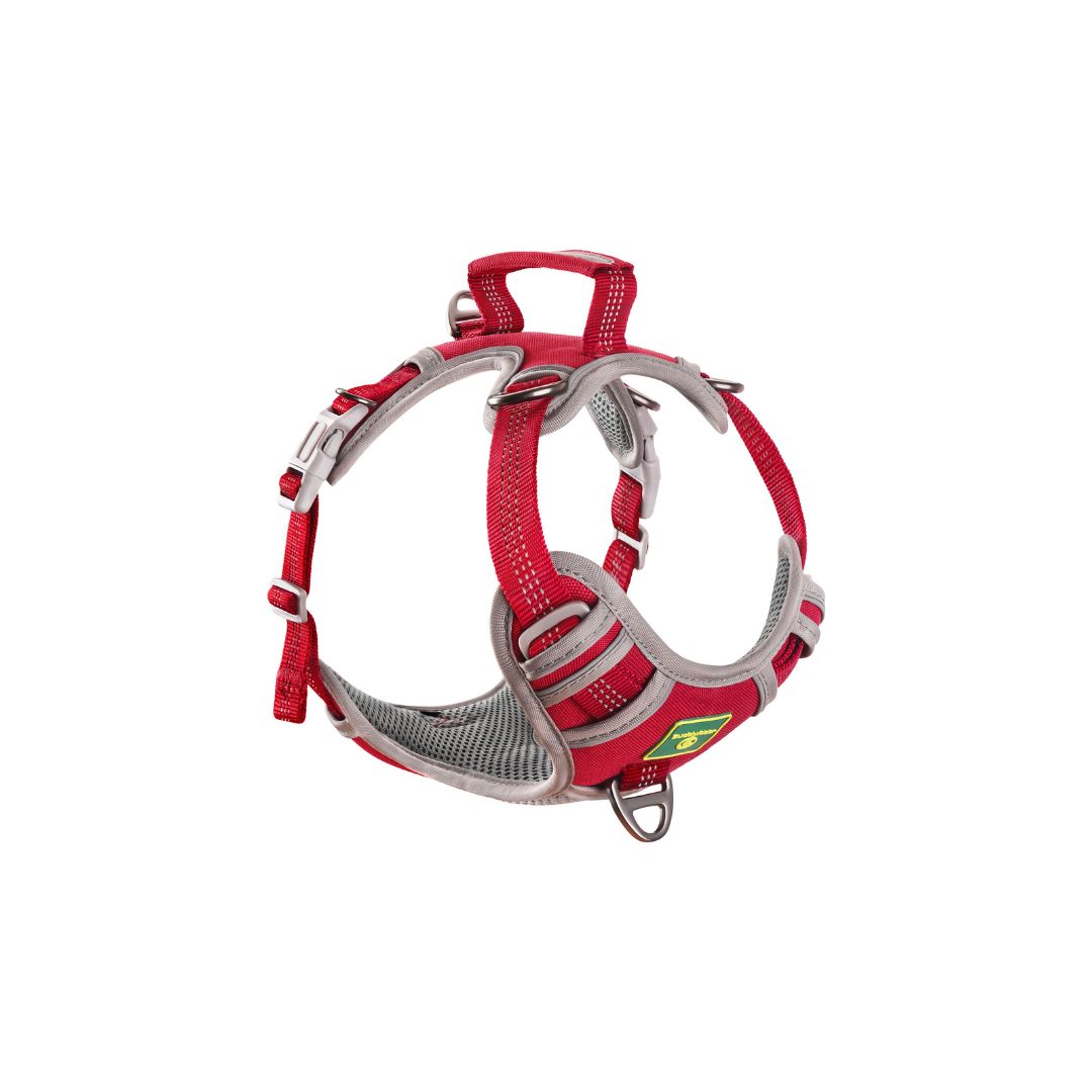 BuddyRider® Harness