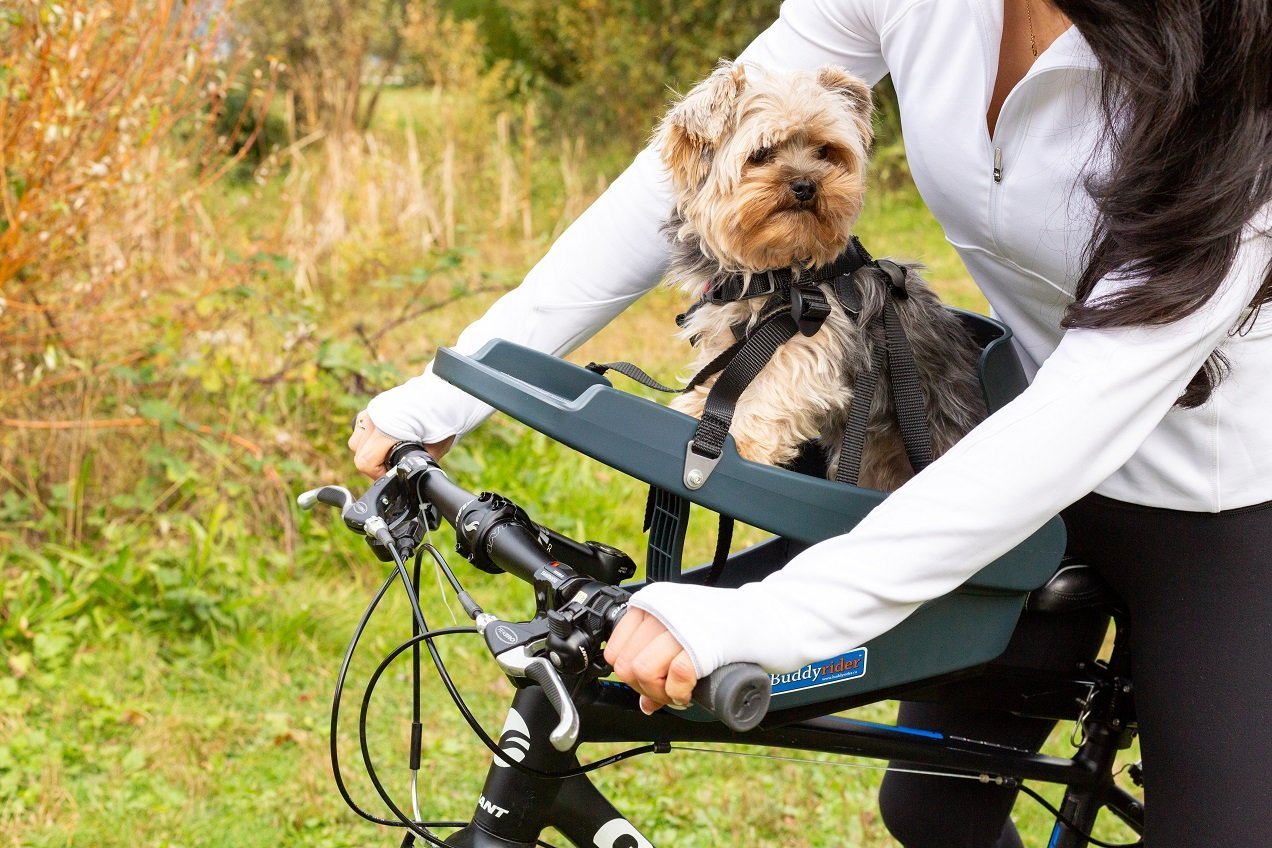 Buddyrider® | Make the World Your Dog Park - Dog Bike Carriers
