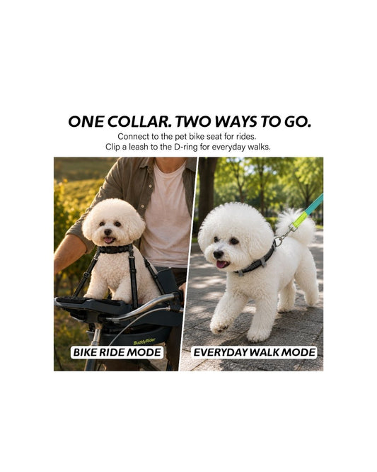 Series 2 Collar™ - XXS