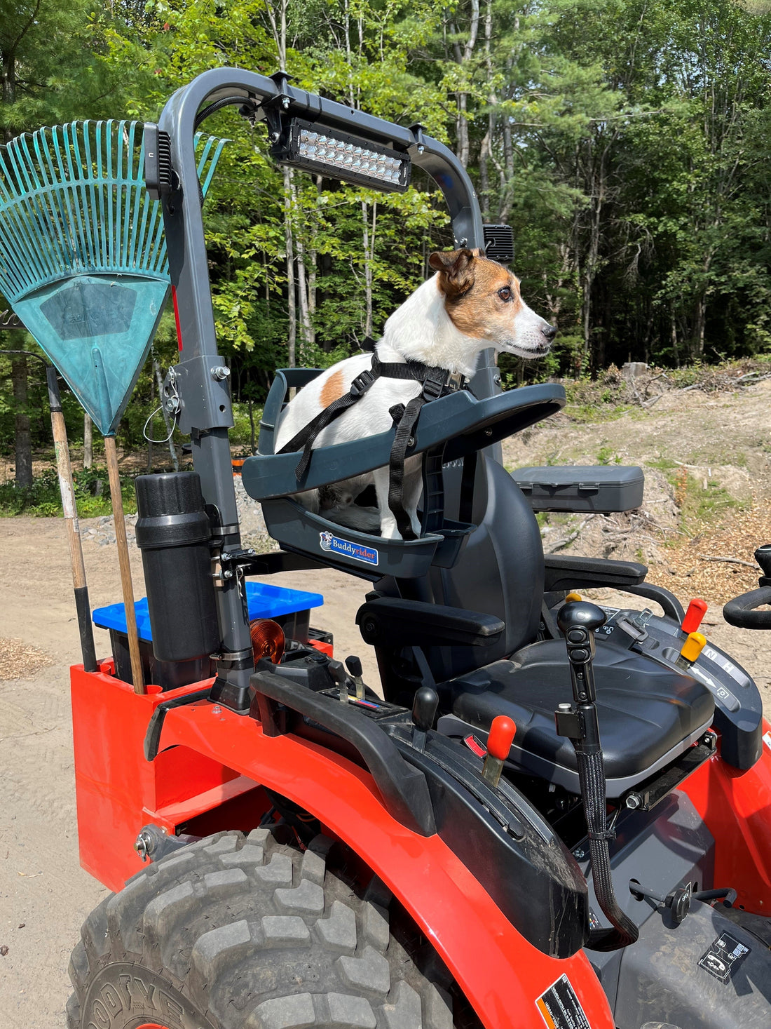 Jimmy's Tractor Adventures: A Loyal Co-Pilot's Story