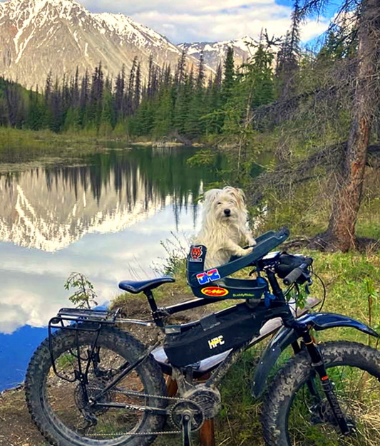 The Dog Who Wouldn't Run: A Jack Russell's Bike Adventures in Alaska