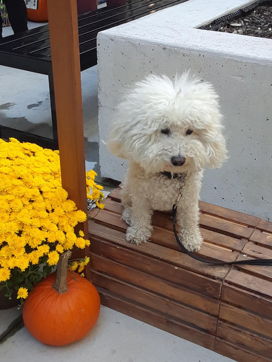 A Lifetime of Rides: Sasha's Story