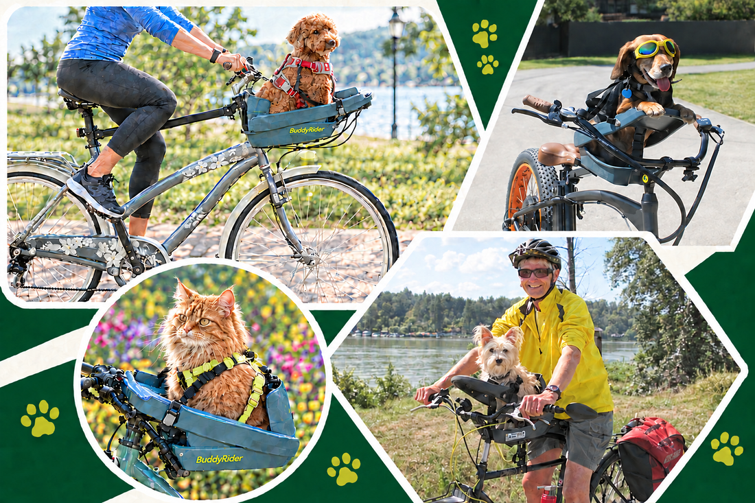 Pet Bike Basket vs. BuddyRider®: Which Is Right for Your Pet?