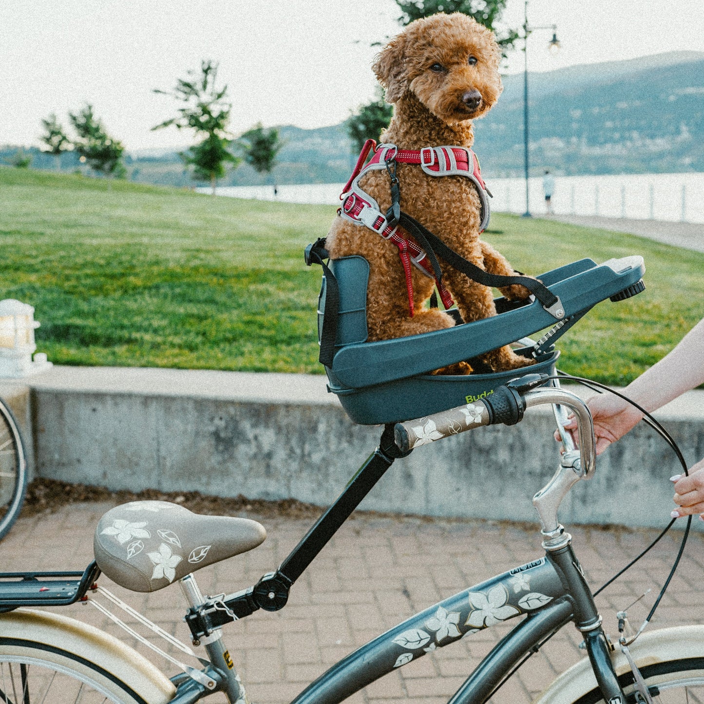 BuddyRider® Series2 w/Flex-Arm