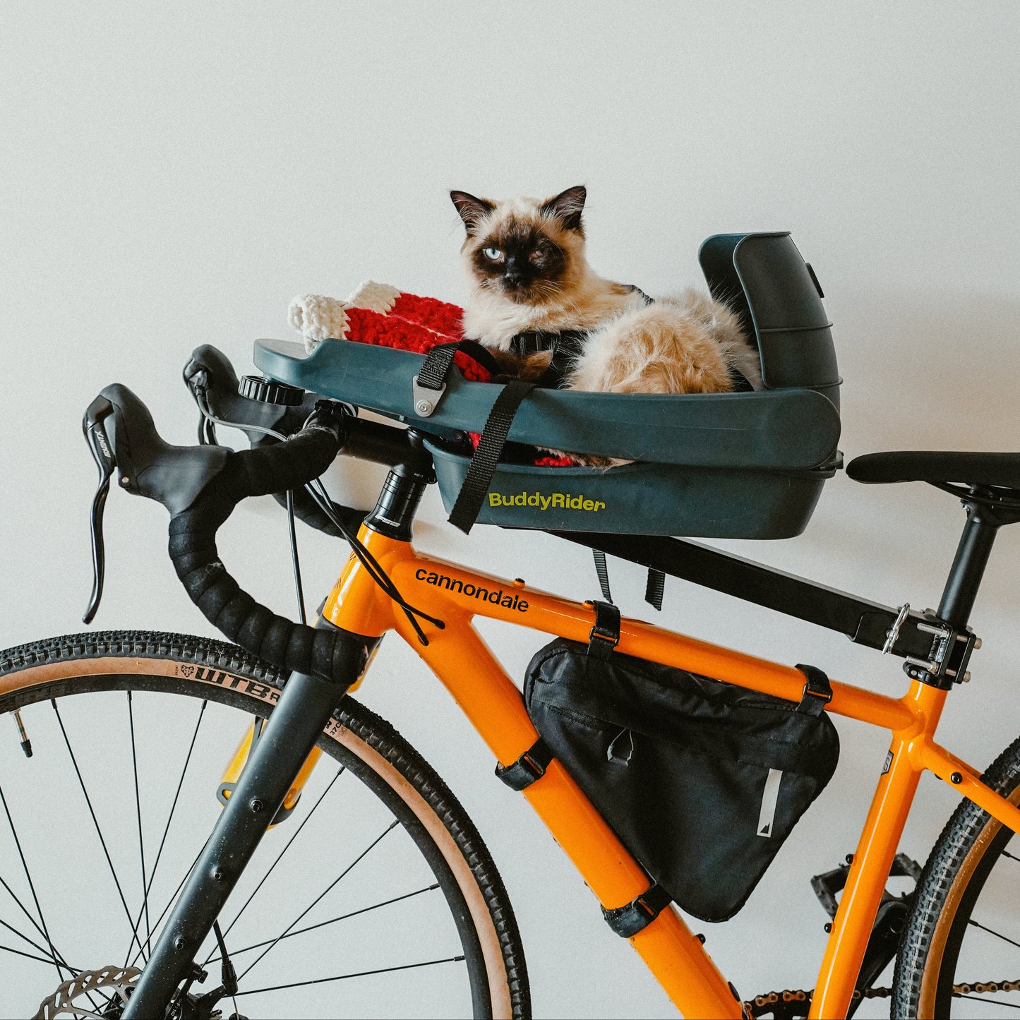 BuddyRider® Series2 w/ Rigid-Arm