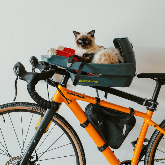 BuddyRider® Series2 w/ Rigid-Arm