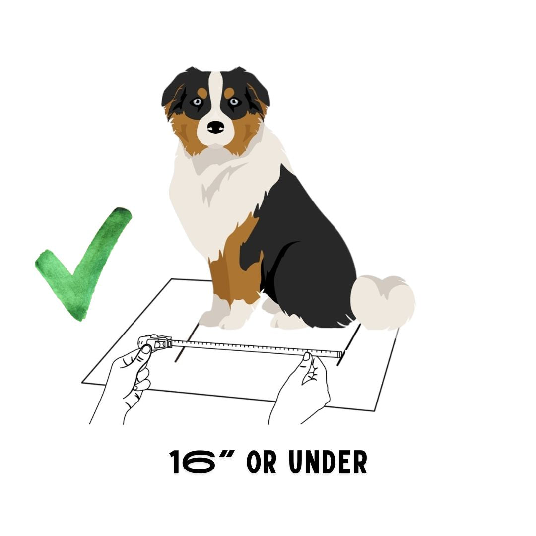 BuddyRider® Series2 w/ Rigid-Arm