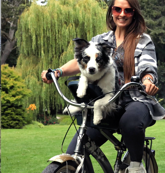 BuddyRider® Series 2 - "Open Box"