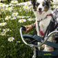 Seggiolino per animali da bicicletta Buddyrider