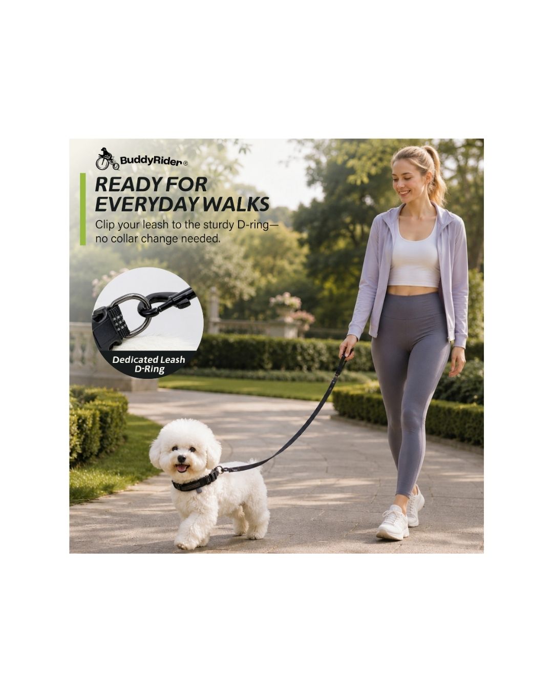 Series 2 Collar™ - XXS