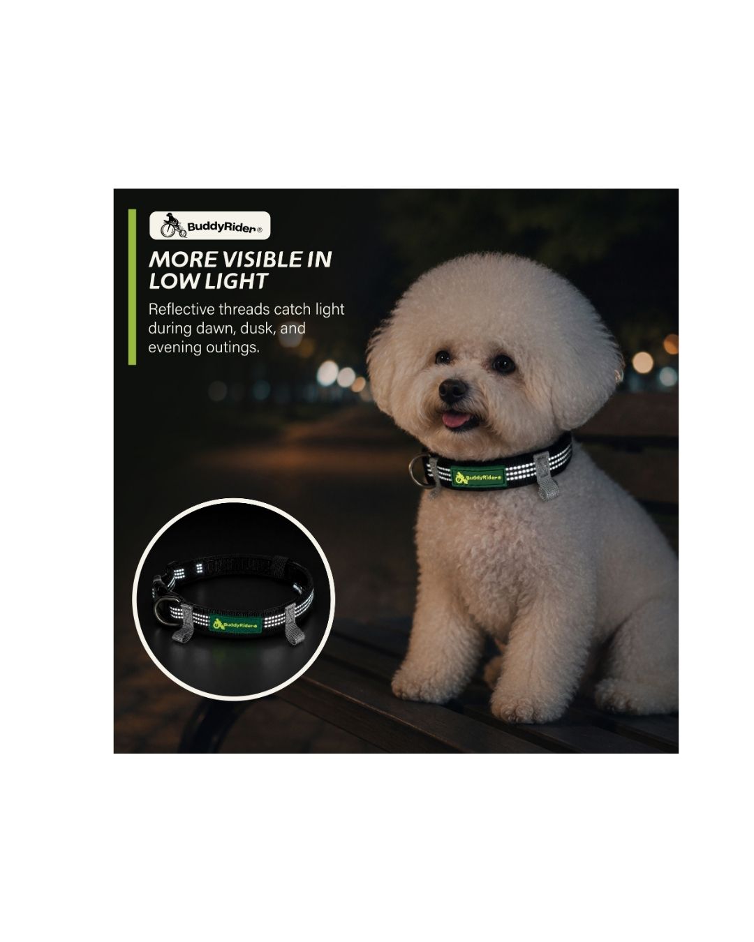 Series 2 Collar™ - XXS