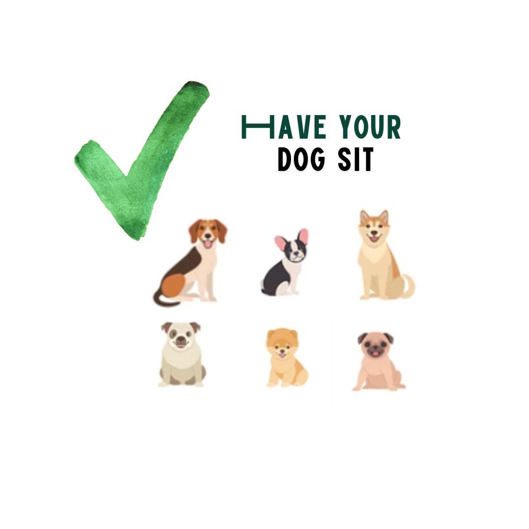 BuddyRider® Series2 w/ Rigid-Arm