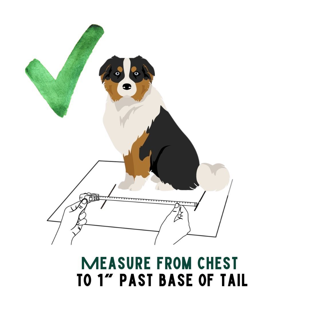 BuddyRider® Series2 w/ Rigid-Arm