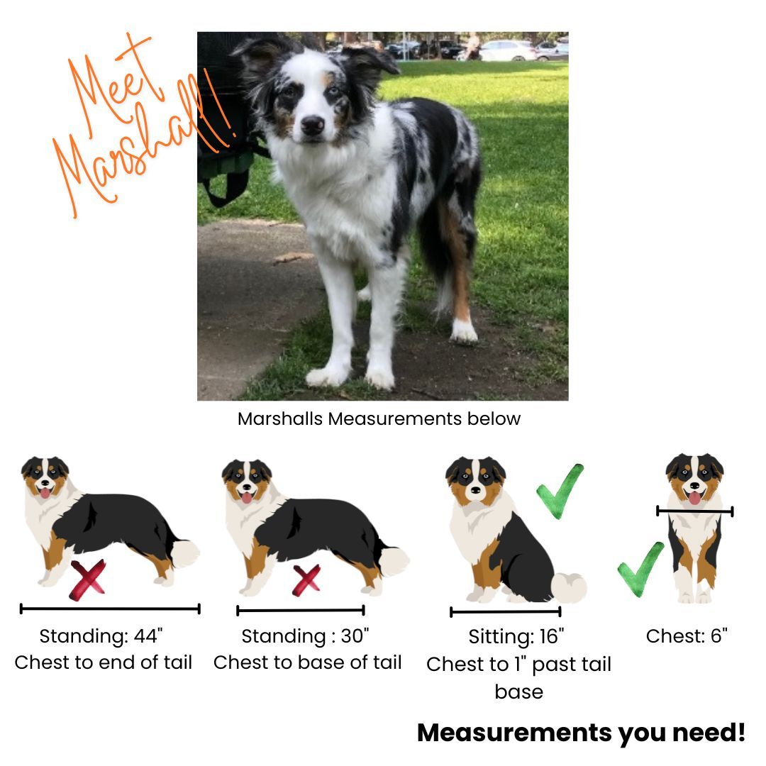 BuddyRider® Series2 w/ Rigid-Arm